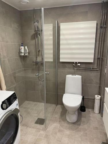 een badkamer met een douche, een toilet en een wastafel bij A studio near to Airport in Vantaa