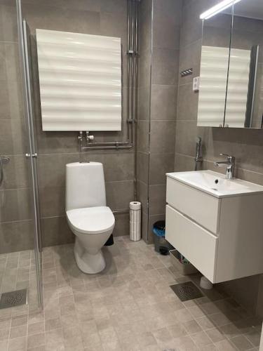 een badkamer met een toilet en een wastafel bij A studio near to Airport in Vantaa