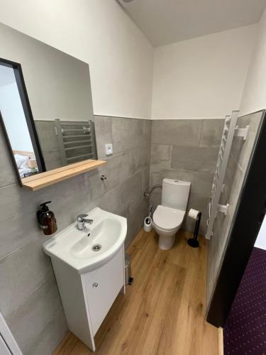 a bathroom with a sink and a toilet at Penzion Pivovar 66 in Česká Lípa