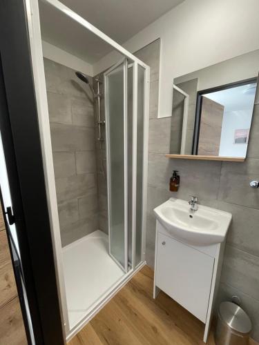 a bathroom with a shower and a sink at Penzion Pivovar 66 in Česká Lípa