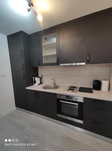 a kitchen with a sink and a stove at Apartman Marija in Skradin