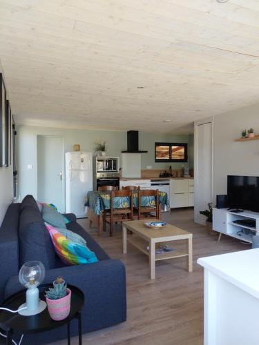 un salon avec un canapé bleu et une table dans l'établissement chalet la rose des sables, à Labenne