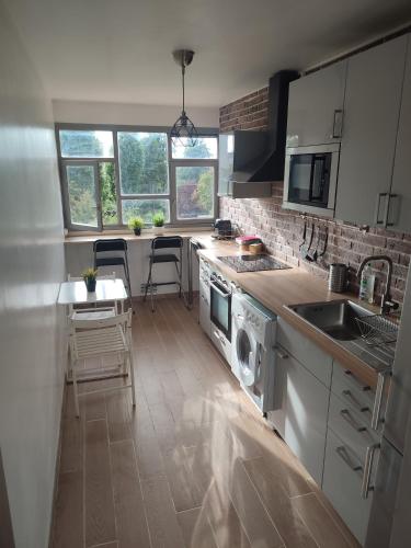 une cuisine avec un évier et un lave-vaisselle dans l'établissement Grand appartement entouré de verdure, à Villejuif