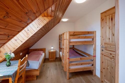 1 Schlafzimmer mit 2 Etagenbetten und einer Leiter in der Unterkunft Bauerborchardt - Urlaub am Bauernhof bei Familie Borchardt in Wernberg