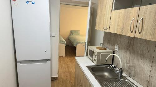 a small kitchen with a sink and a microwave at 布拉格城堡公寓 in Rudná