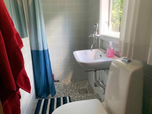 uma casa de banho com um WC e um lavatório em Cozy Summer House Close To The Beach, em Gilleleje