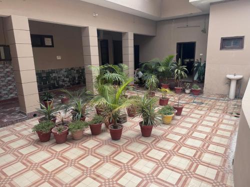 um monte de vasos de plantas em um pátio em Hotel Star INN em Jalandhar