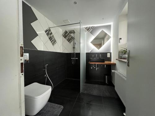 een badkamer met toilet, douche en wastafel bij Traum Berg - Koppelberg 1 in Traben-Trarbach