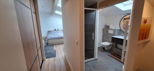 une salle de bain avec toilettes, lavabo et miroir dans l'établissement Maison Duplex - Proche de Paris, à Épinay-sur-Seine