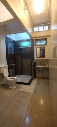 y baño con aseo, ducha y lavamanos. en Madhav Bhavan Guest House, en Pune