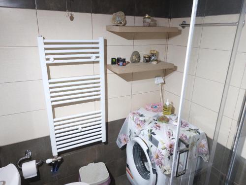 a bathroom with a washing machine and a toilet at Chrysianna seaview apartment in Argostoli
