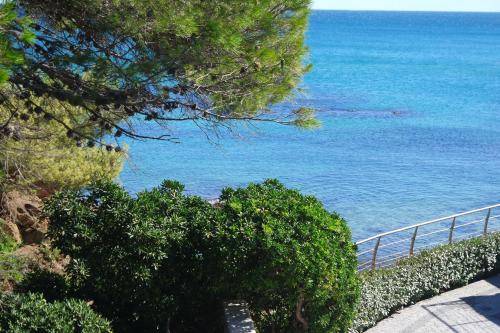 a view of the ocean from a hill with trees at Villa Perle De La Mer in Saint-Aygulf