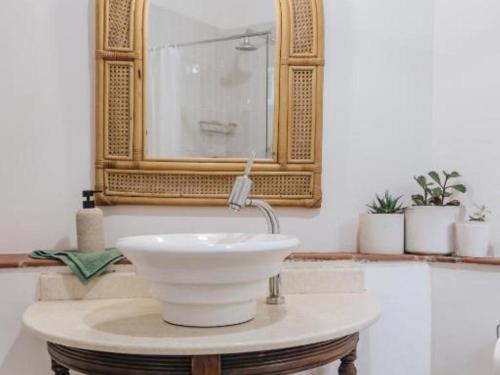 a bathroom with a white sink and a mirror at Wylde Rose Cottage in Pietermaritzburg