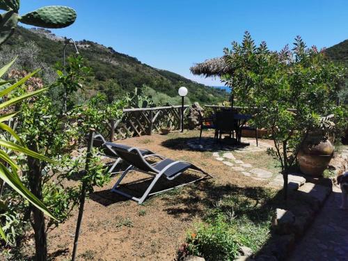 Naturlandskabet i nærheden af lejligheden