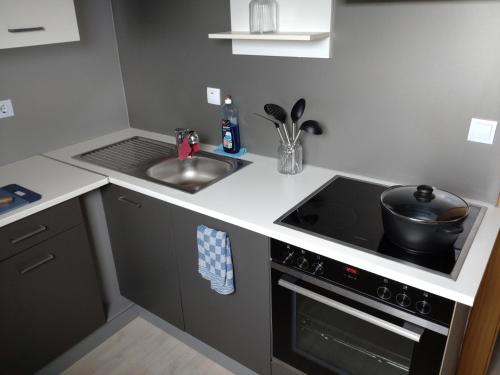 a small kitchen with a stove and a sink at Gästezimmer M. Schubert in Oberelbert