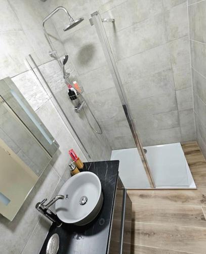 une salle de bain avec un lavabo et une douche dans l'établissement Le plein ciel Studio, à Nice