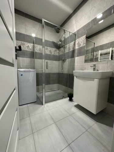 Ένα μπάνιο στο Tower Apartments Centrum