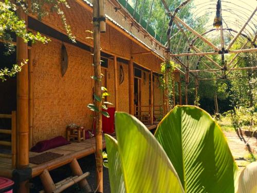 ein Haus mit einer großen grünen Pflanze davor in der Unterkunft Uncle Hippie's Dream in Gili Meno