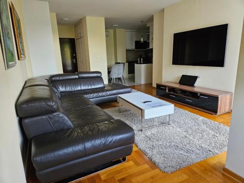 sala de estar con sofá de cuero y TV de pantalla plana en Alex&Buba (FREE private parking), en Belgrado