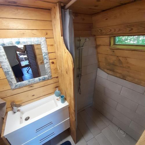 a bathroom with a tub and a sink and a mirror at Glamping pod Hrastom in Dramlje