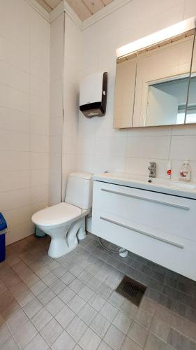 a bathroom with a toilet and a sink and a mirror at JM Rally Parc Ferme Rallimuseo in Tuuri