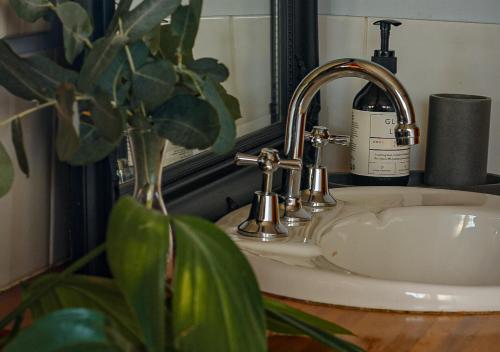 ein Waschbecken mit Spiegel und Pflanze in der Unterkunft Waterfront - Bluff Beach House, Park Beach in Dodges Ferry