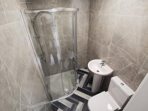 a bathroom with a shower and a toilet and a sink at DUBLIN PALM in Dublin