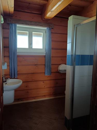 a bathroom with a toilet and a sink and a window at Chalupa Jadrná 2 in Orlické Záhoří 