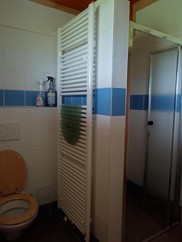 a bathroom with a toilet and a shower at Chalupa Jadrná 2 in Orlické Záhoří 