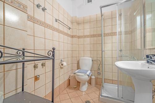a bathroom with a toilet and a sink and a shower at Monte Verde Apartment 102 in Dhematorá