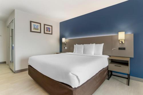 Comfort Inn & Suites FM1960-Champions Image