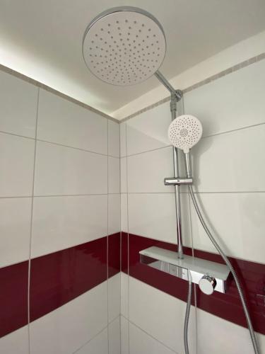 a shower with a shower head in a bathroom at Apartmány U Jeřábků in Rapotín