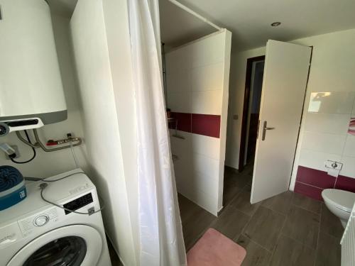 a bathroom with a washing machine and a toilet at Apartmány U Jeřábků in Rapotín