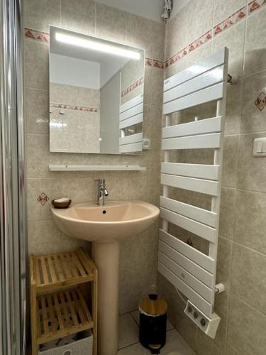 une salle de bain avec un lavabo et un miroir dans l'établissement T2 indépendant avec jardin, à Livron-sur-Drôme