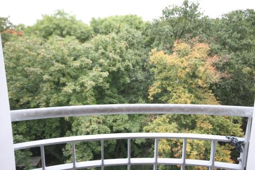 Una vista de los árboles desde la cubierta de un barco. en Warnemünde Appartement Parkblick REF 81886, en Warnemünde