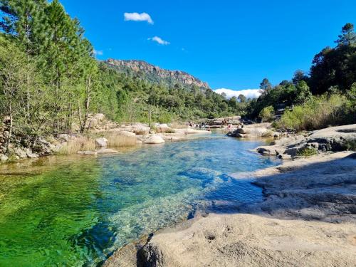 a river with green water and rocks and trees at Mini Villa Pascal Paoli avec piscine - proche mer in Prunelli-di-Fiumorbo