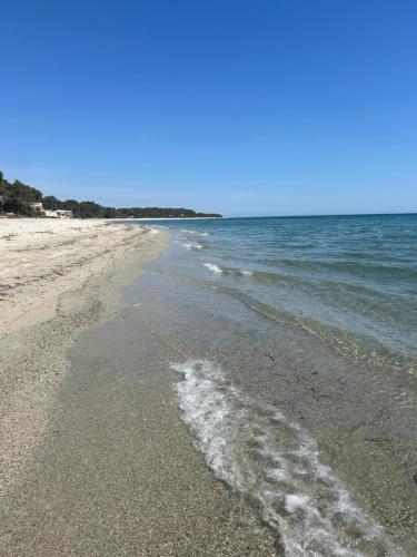 a beach with the ocean and the shoreline at Mini Villa Pascal Paoli avec piscine - proche mer in Prunelli-di-Fiumorbo