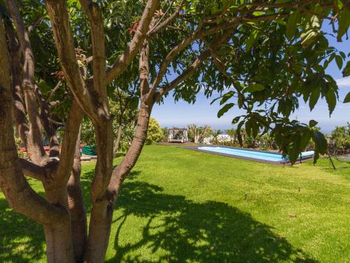 Πισίνα στο ή κοντά στο Villa with Pool and sea views in Banana Plantation by CanaryScape