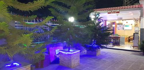 a tree in front of a building with purple lights at Red Rose Hotel in Bālākot
