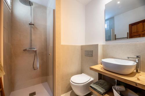 uma casa de banho com um lavatório, um WC e um chuveiro em Can Joan Durban em Sant Joan de Labritja