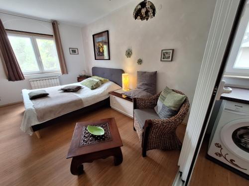 Un dormitorio con una cama, una mesa y una silla. en PaKua apartments & Penthouse, en Rovinj