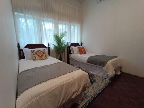 1 dormitorio con 2 camas y una maceta en SOHO STAY, en Kuala Terengganu