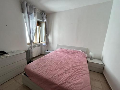 een slaapkamer met een roze bed en een raam bij Alloggio Teresina in Montecilfone