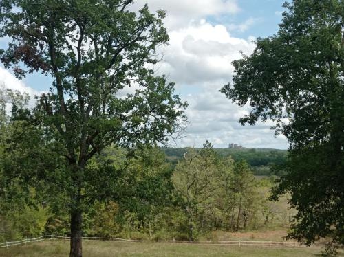 un arbre au milieu d'un champ dans l'établissement Cottage with swimming pool, pool house and view !, à Dévillac