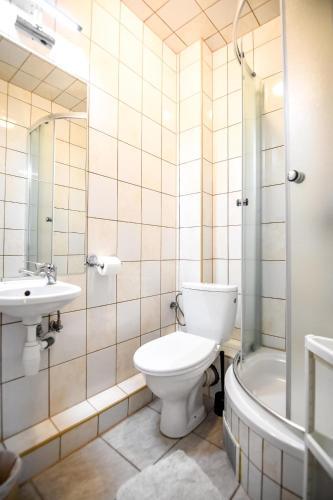 a bathroom with a toilet and a sink and a shower at Willa Modra in Bukowina Tatrzańska