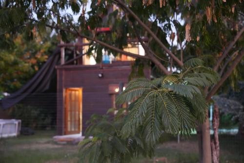 a small wooden house with a door in a yard at Cabaña Los Robles YOLI in Colonia del Sacramento