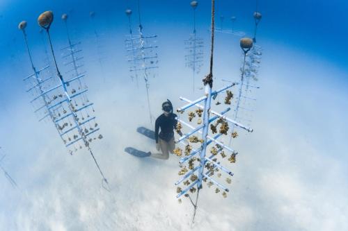 a man is standing next to a bunch of skis at Finolhu, A Seaside Collection Resort, a Member of Design Hotels in Baa Atoll