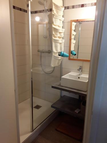 une salle de bain avec douche et lavabo dans l'établissement Appartement Reallon 5 personnes en rez de jardin, à Réallon
