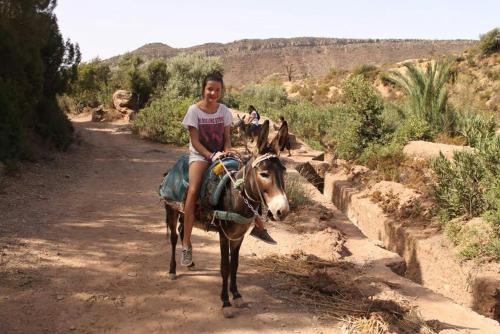 uma jovem montando um burro em uma estrada de terra em Ouadaker amizmiz em Amizmiz