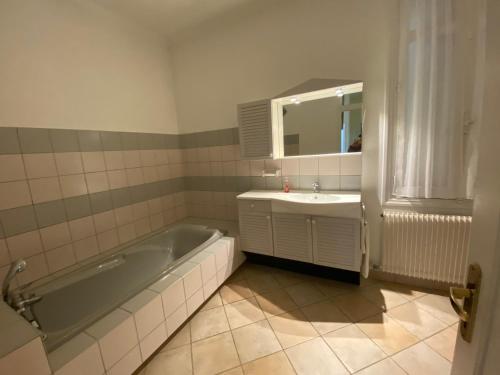 uma casa de banho com uma banheira e um lavatório em Domaine de la Perthuiserie em Saint-Porchaire